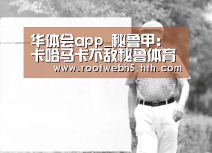 华体会app