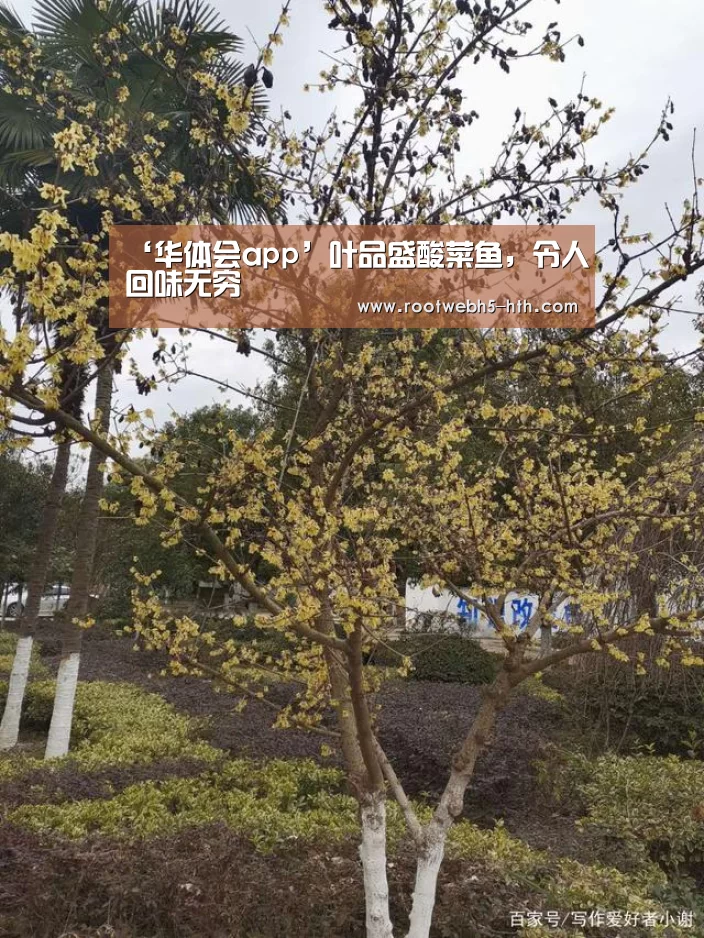 华体会