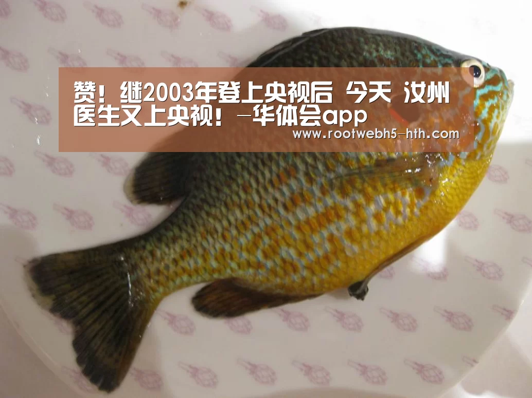 华体会app