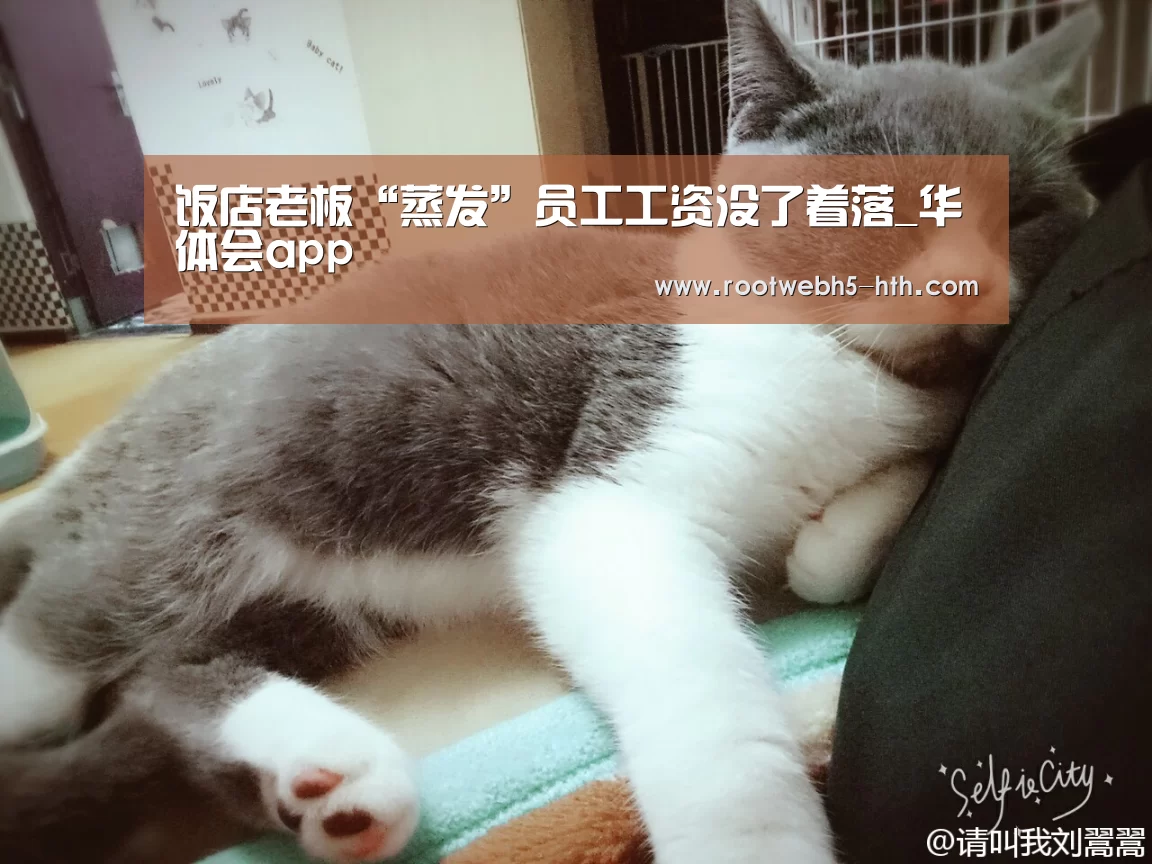 饭店老板“蒸发”员工工资没了着落_华体会app