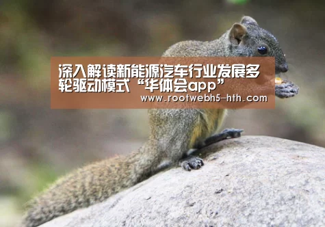 深入解读新能源汽车行业发展多轮驱动模式“华体会app”