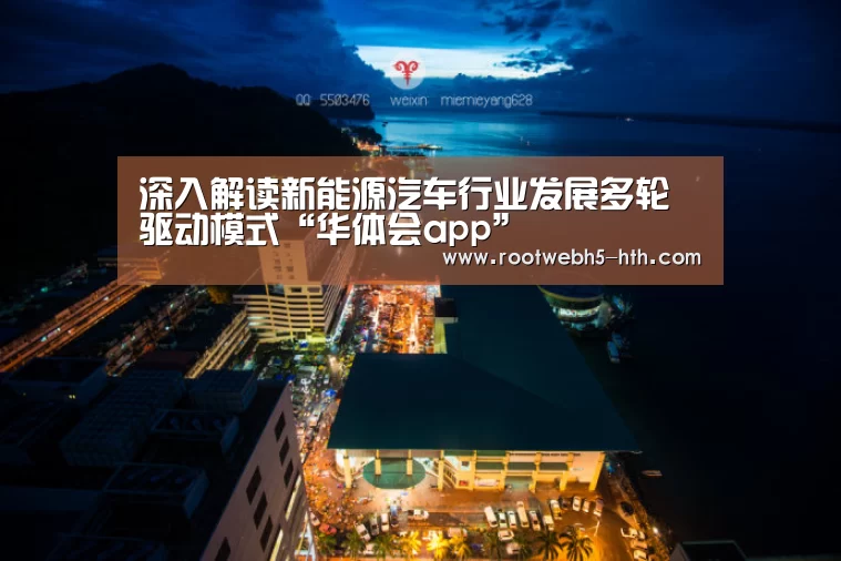 深入解读新能源汽车行业发展多轮驱动模式“华体会app”(图2) 华体会app