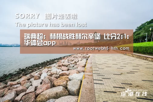 瑞典超: 赫根战胜赫尔辛堡 比分2:1:华体会app(图3) 华体会