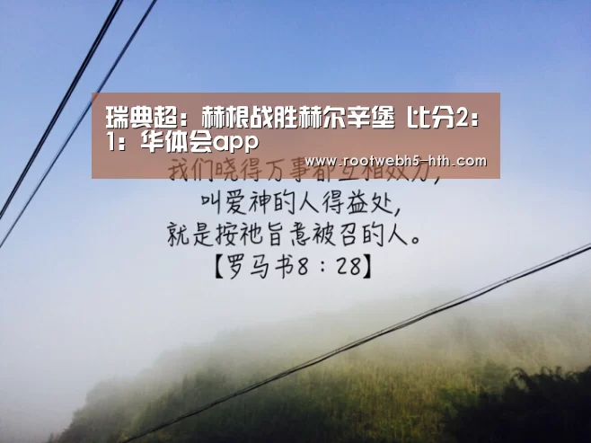 瑞典超: 赫根战胜赫尔辛堡 比分2:1:华体会app(图2) 华体会app