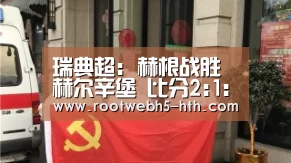 瑞典超: 赫根战胜赫尔辛堡 比分2:1：华体会app