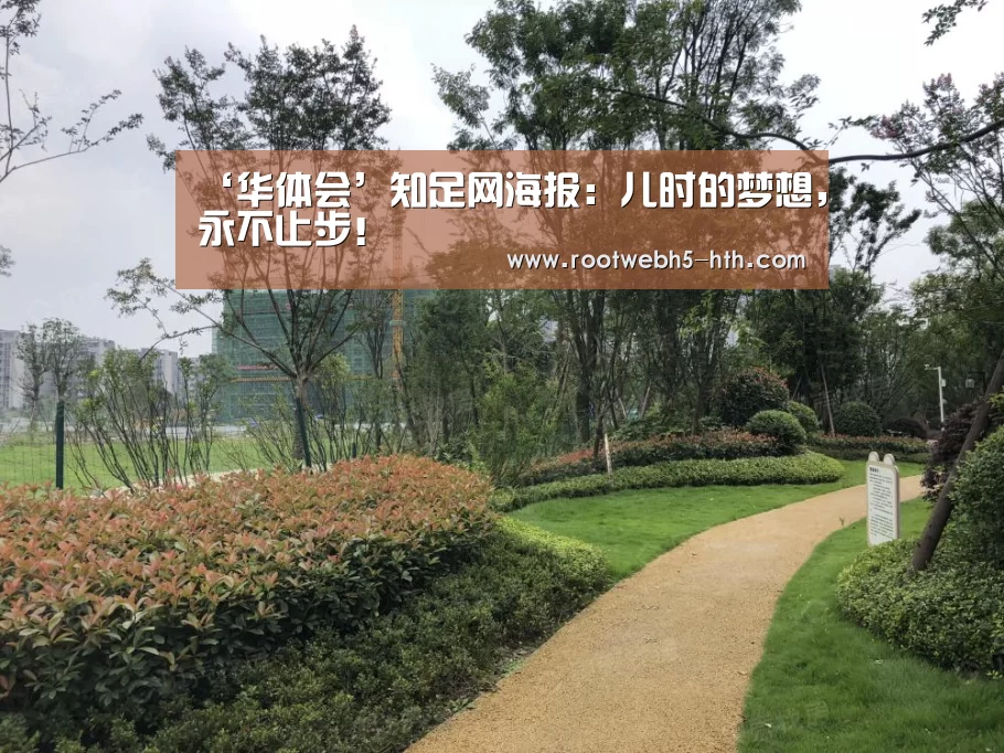 华体会