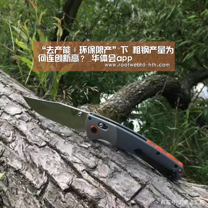 “去产能＋环保限产”下 粗钢产量为何连创新高？_华体会app
