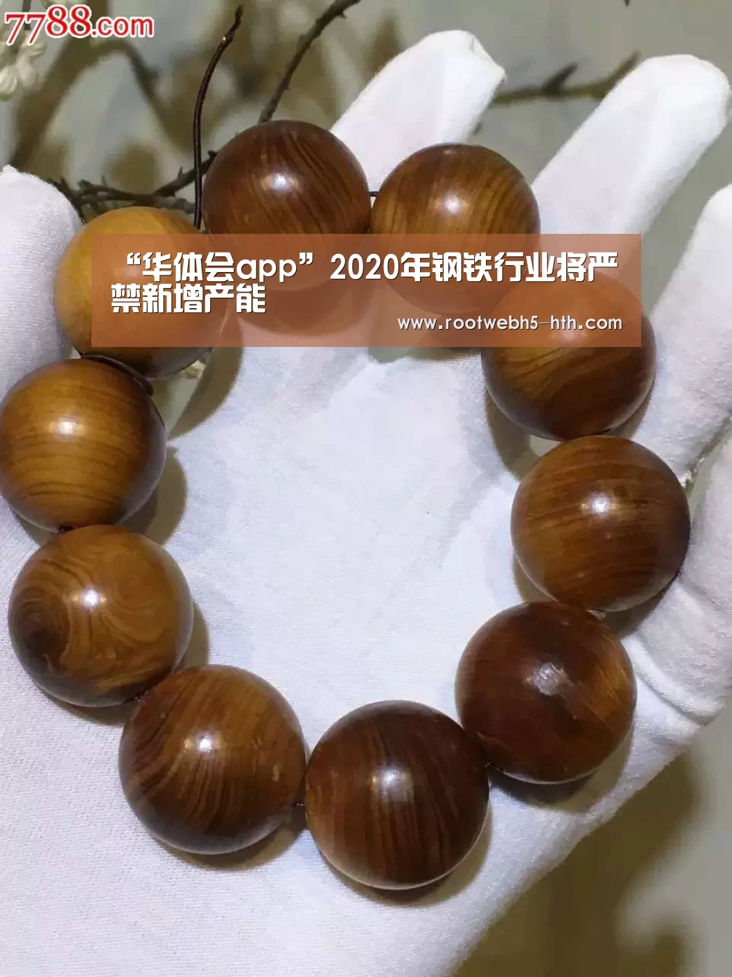 华体会