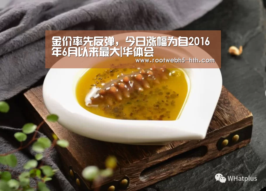 金价率先反弹,今日涨幅为自2016年6月以来最大|华体会