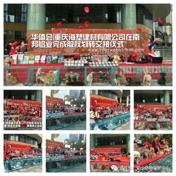 华体会|重庆海塑建材有限公司在南邦铝业完成股权划转交接仪式
