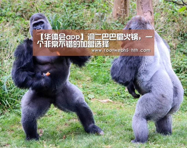 【华体会app】洞二巴巴蜀火锅，一个非常不错的加盟选择