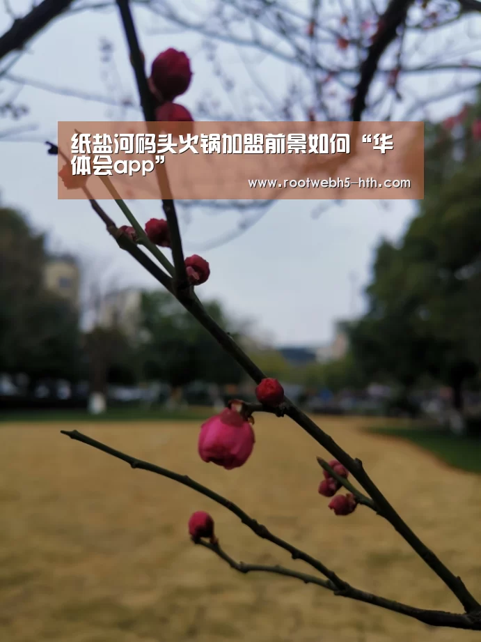 华体会