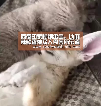 华体会