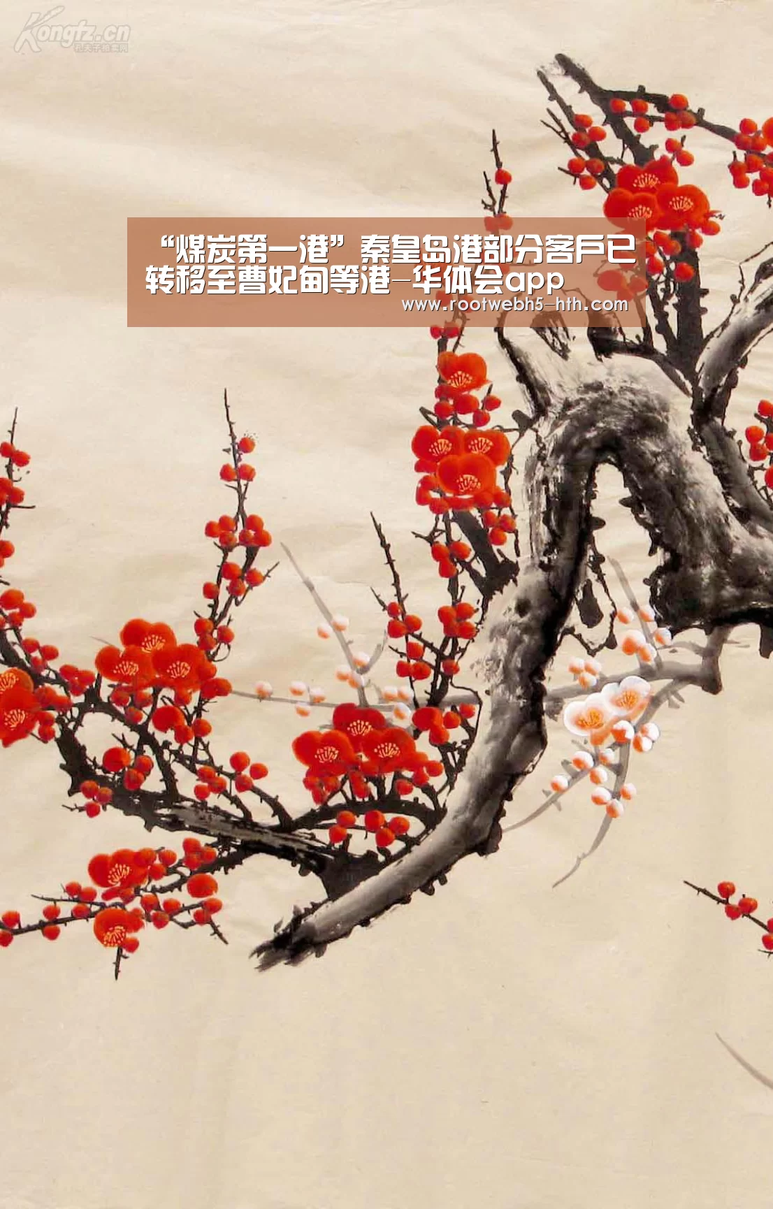 华体会app