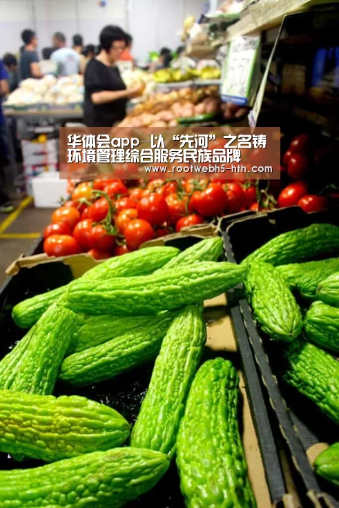 华体会
