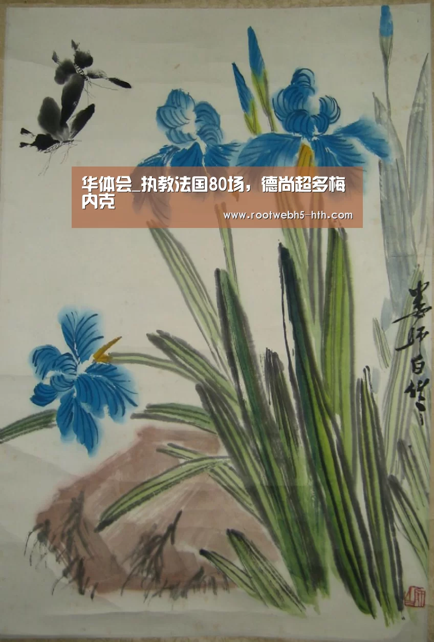 华体会app