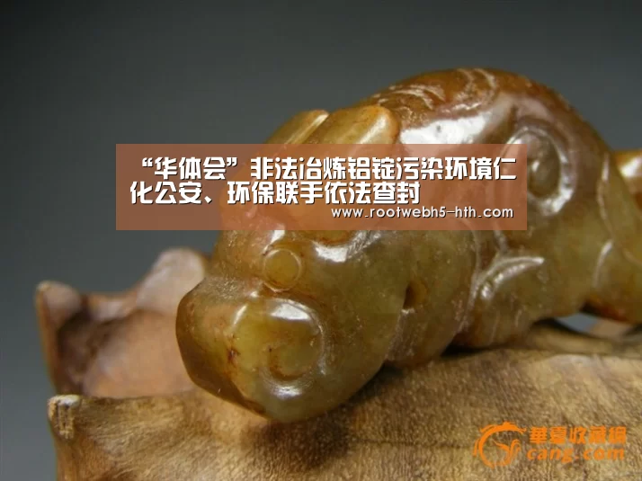 华体会app