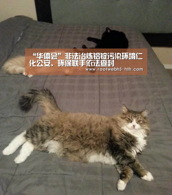 华体会app